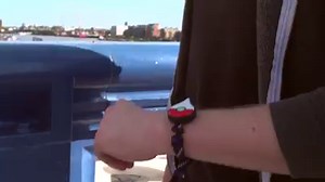 Here's how to setup and use the peripheral Plus device with Pokémon GO. | IGN