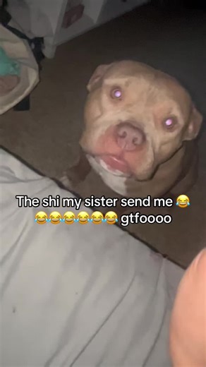 Voice Changes and Comedy Moments with My Sister