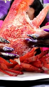 Giant 15lb Lobster From Maine Lobster Now - Part 1 | Pittman Madalyn