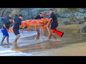 They Captured On The Beach What No One Was Supposed to See