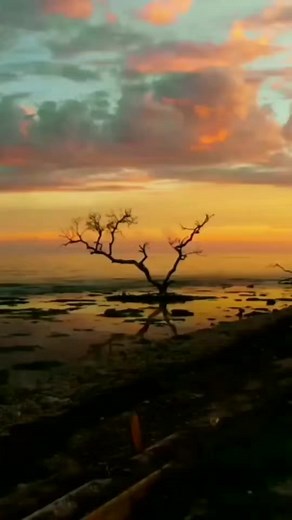 4.3K views · 79 reactions | The Grasp of Your Hand - a beautiful poem by Rabindranath Tagore #RabindranathTagore #poem #courage #lifequotes #inspirational #God #prayer #nature | Come Out and Shine | Facebook