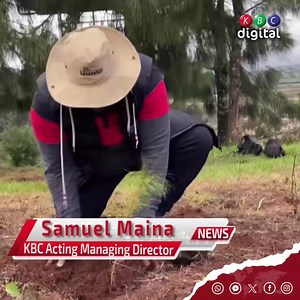 #KBCniYetu #NationalTreePlantingDay | Kenya Broadcasting Corporation