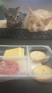 Justin Jones on Reels