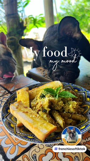 Lucca_Sicily on TikTok