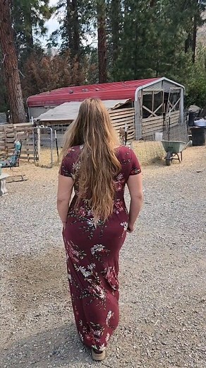 140K views · 10K reactions | #farmgirl #tradwife #homestead #simplelife #traditional #homesteading #chickens #goats #goatsofinstagram | Mountain Spring Homestead | Facebook