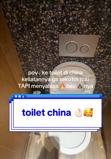 Pengalaman Menyisir Toilet di China