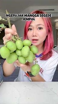 THUMB-SIZED MANGO #holidaywithshorts #ngeshortsbareng