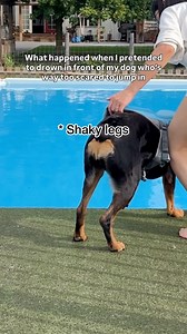 6.9M views · 318K reactions | My dog overcame her fear to save me  We don’t deserve dogs #dogs #cutedogs #funnydogs #doglover | This Girl Emma | Facebook