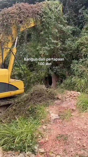 Baru bangun dari pertapaan Siap Tempur lagi | Bang AR Pangandaran