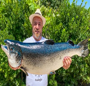 47K views · 947 reactions | I cooked a huge Atlantic SALMON under a thick layer of SALT on the Fire #cooking #chef #fish | Cooking | Facebook