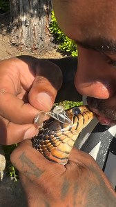 So Beautiful 🐍 | Garry Opimo