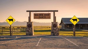 2 Pack Cow Crossing Sign 18 × 18 Inch Engineer Grade Reflective Aluminum Large Waterproof Metal Funny Cattle Symbol Signage for Country Road Ranch Farm Driveway Outdoor