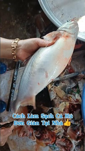 Experience Sharing How To Clean Catfish, Catfish, Basa Fish Is Here 👍👍👍