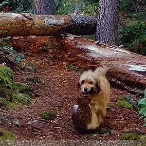 590K views · 8.9K reactions |  #story #virals #movienetflix #moviereview #horror #horrorstory #story #virals #movienetflix #moviereview #horror #horrorstory | Kavita singh | Facebook