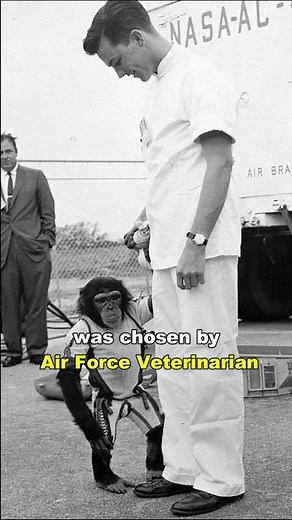 The Monkey That Went To The Space