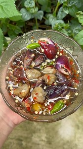 4.6K views · 44 reactions | Ba khía to chắc thịt nhà Y làm chà rửa rất sạch sẽ mời anh chị mình ạ | Nhà Cô Yến | Facebook