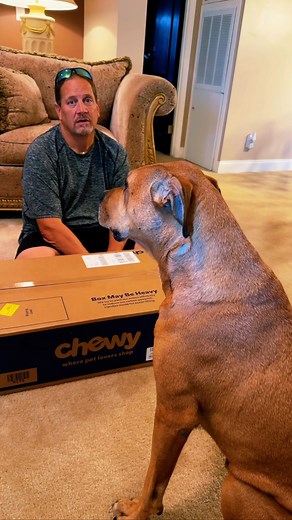 1.4K views · 384 reactions | Replying to Lisa Ruger got a package cause he needed that!!! @Ruger #ineededthatdogedition #toys #doggietoys | Bridget529 | Facebook