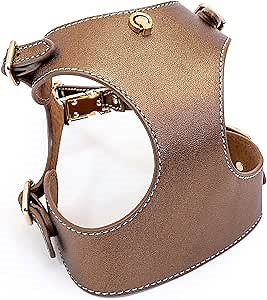 Amazon.com : BECHIVA Real Leather Small Dog Harness. Adjustable Dog Harness for Small Breeds - Chihuahua, Yorkshire Terrier, Maltese, Pomeranian Luxury Dog Walking Harness Easy Off Dog Vest Harness Bronze Color : Pet Supplies