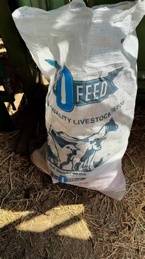 Around here it just makes sense! Am I right 🤣 #farmlife #farming #animalfeed #homesteading #farmanimals #farming #womeninag #farmtofork #farmtotable #homesteader #womeninagriculture | High Hope Homestead