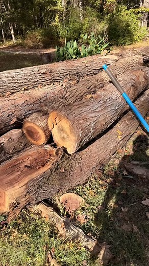 Turning blowdowns into beautiful boards. The lumber from reclaimed logs will come in handy for planned projects. Hard part is waiting a year for the boards to dry out. 🪾= 🪵 = 🛖 | Outdoor Stewards of Conservation Foundation, Inc.
