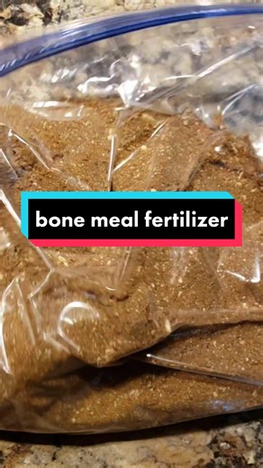 Homemade Bone Meal Fertilizer for Your Garden