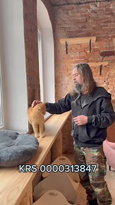 38K views · 1.5K reactions | Garry, piękny, zadbany Kot, którego ktoś...