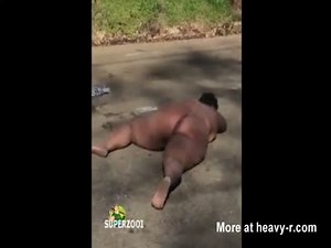 Wallowing Bitch On The Street