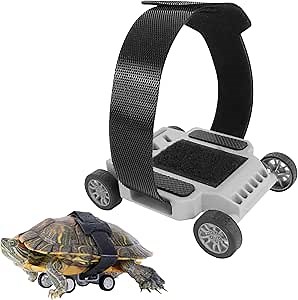 Turtle Skateboard, Turtle Leash Fun Toys, Turtle Accessories (L)