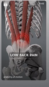 Dr Vonda Wright on Reels | Facebook