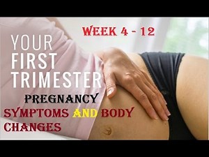 First Trimester Pregnancy Symptoms (Week 4 - 12) - 4 weeks pregnant -