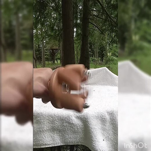 Oak Angion Wheel - Etsy