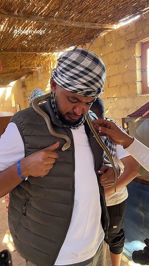 Discover the Beautiful Nature and Wildlife of Hurghada, Egypt