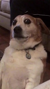 4.3K views · 64 reactions | ¿Qué le pasa? 樂 | USA Diario | Facebook