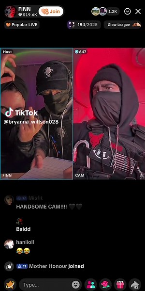 Finn and Friends: Exploring Dynamic Relationships