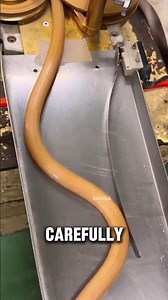 How Candy Is Made in a Factory (So Satisfying)