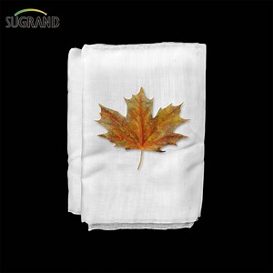 [Hot Item] Plastic Agriculture PE Insect Mesh Netting