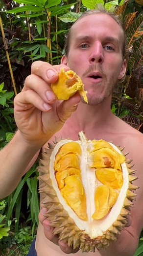 Delicious Raw Vegan Fruit Recipes