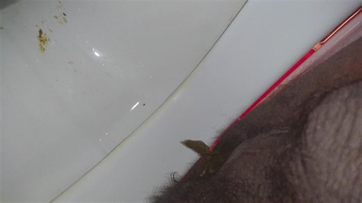 A big poop - video 2