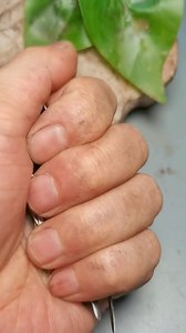 Wood Carving Engraving Dremel Bit | A Q Creator