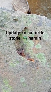 28K views · 588 reactions | Turtle  Stone #highlightseveryone #fbreels #jenelynlegaspicollado #treasure #treasurehunt #fbreelsvideo #highlights #reelsviralfb | Jenelyn Legaspi Collado | Facebook