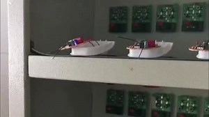 2026 Upgraded Ultrasonic Pest Control Repeller Plug in,Ultrasonic Mouse Repellent Plug in Pest Control for Rat,Rodent,Roach,Bugs,Mice,Spider,Ant,Mosquito,Indoor Insect Repeller for House 10Pack