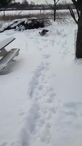 Rustic Road Farm on Reels