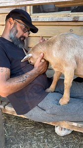 Two endless loves, Ana 🐷 and Bela 🐐, are free to be their unique, individual, loving selves because they are safe in the loving arms of Animal Save & Care Portugal ♥️ 🥰 Isn't this what we truly wish for all of our fellow animals? | Animal Save Movement