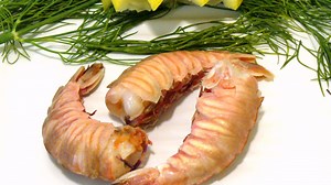What is the difference between rock shrimp and shrimp? [2025] | QAQooking.wiki