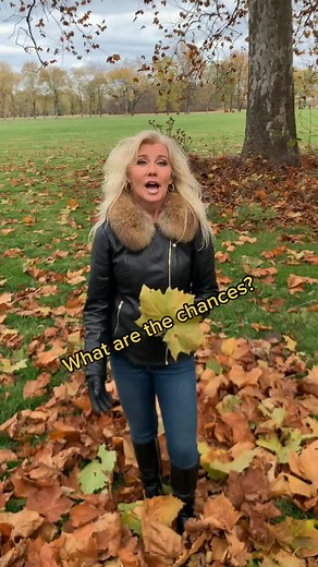 Julie Stautland on TikTok