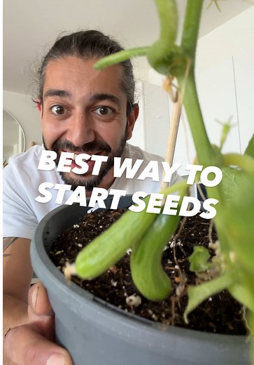 Grow a Seed with a Bottle and Toilet Paper Tube