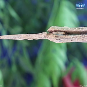 2.2K views · 17 reactions | Huntsman Knife Restoration | Voov Restoration | Facebook