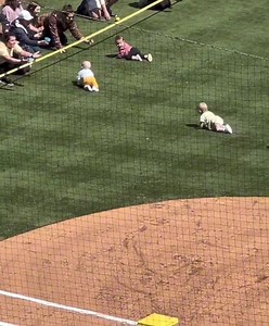 4.3K views · 65 reactions | De ziua copilului. Ce jocuri și concursuri se mai practică în lume 藍藍 | Anti Plicti | Facebook