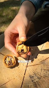 18K views · 36 reactions | Survive & Thrive Outdoors with These Cool Camping Ideas 吝望 | 5-Minute Crafts Green | Facebook