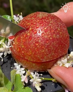 Enjoy this juicy fruit adventure! | Pretty Hairstyles